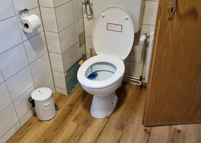 Daire Lehn Dich Zurueck *